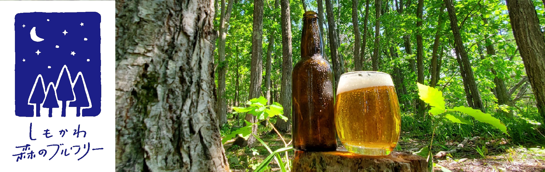 森林に囲まれた１杯のビール